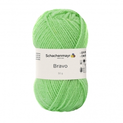 Bravo Schachenmayr 8351 kiwi