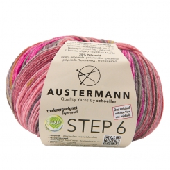 Step 6-fach Irish Color 150g Austermann 679 inverness