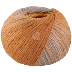 Cotonella Lana Grossa % - 15 Graubeige/Oliv/Gelb/Blassorange/Orange/Lachs/;Nougat