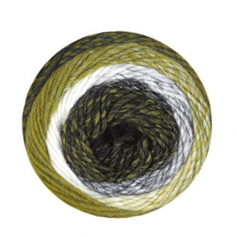 Chic & Warm Schoeller Stahl 09 moos