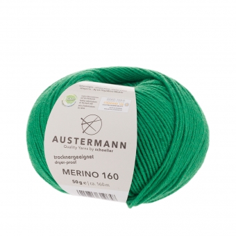 Merino 160 Austermann 273 gras