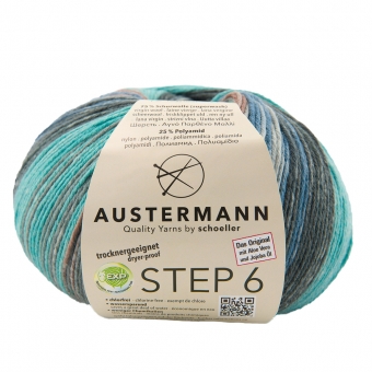 Step 6-fach Irish Color 150g Austermann 629 malbay