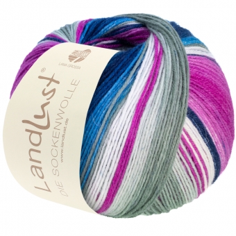 Landlust Die Sockenwolle Lana Grossa 118 Hellgrau/Ecru/Fuchsia/Blau/Jeans/Nachtblau/ Zartrosa/Flieder Gestreift